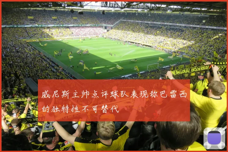威尼斯主帅点评球队表现称巴雷西的独特性不可替代