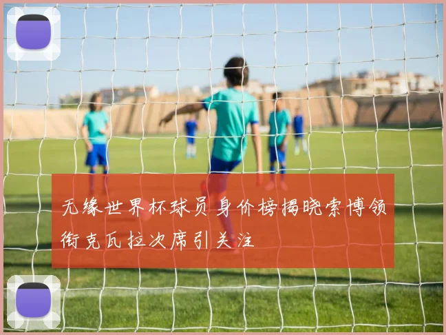 无缘世界杯球员身价榜揭晓索博领衔克瓦拉次席引关注